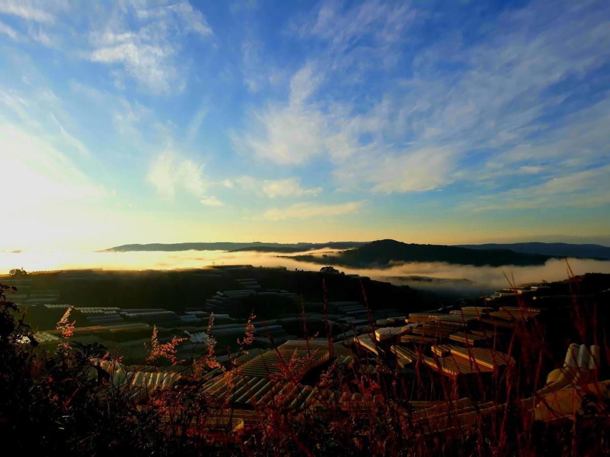 Canh Dong May Homestay ダラット エクステリア 写真